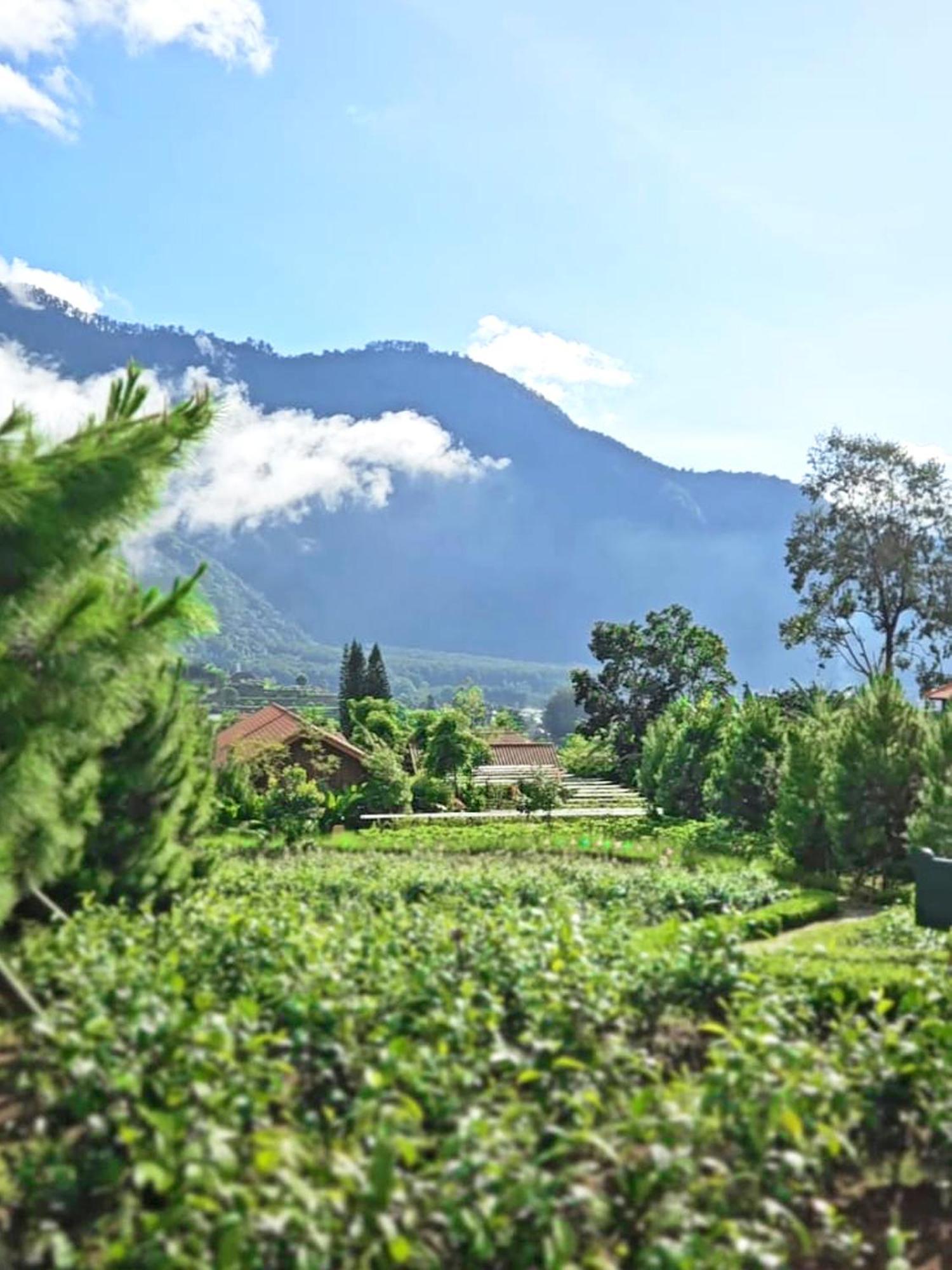Resort Dusun Bedugul Asri Bedugul (Bali)