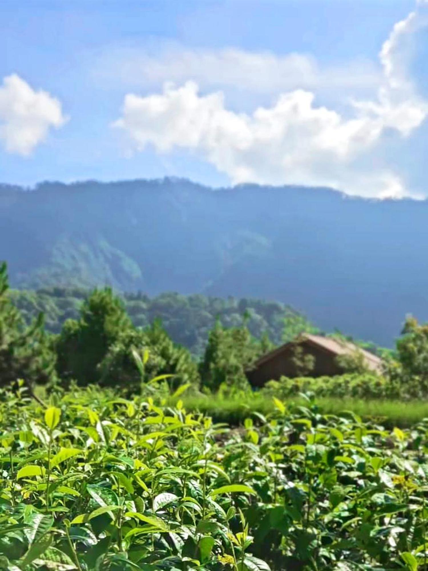 Dusun Bedugul Asri * Bedugul (Bali)