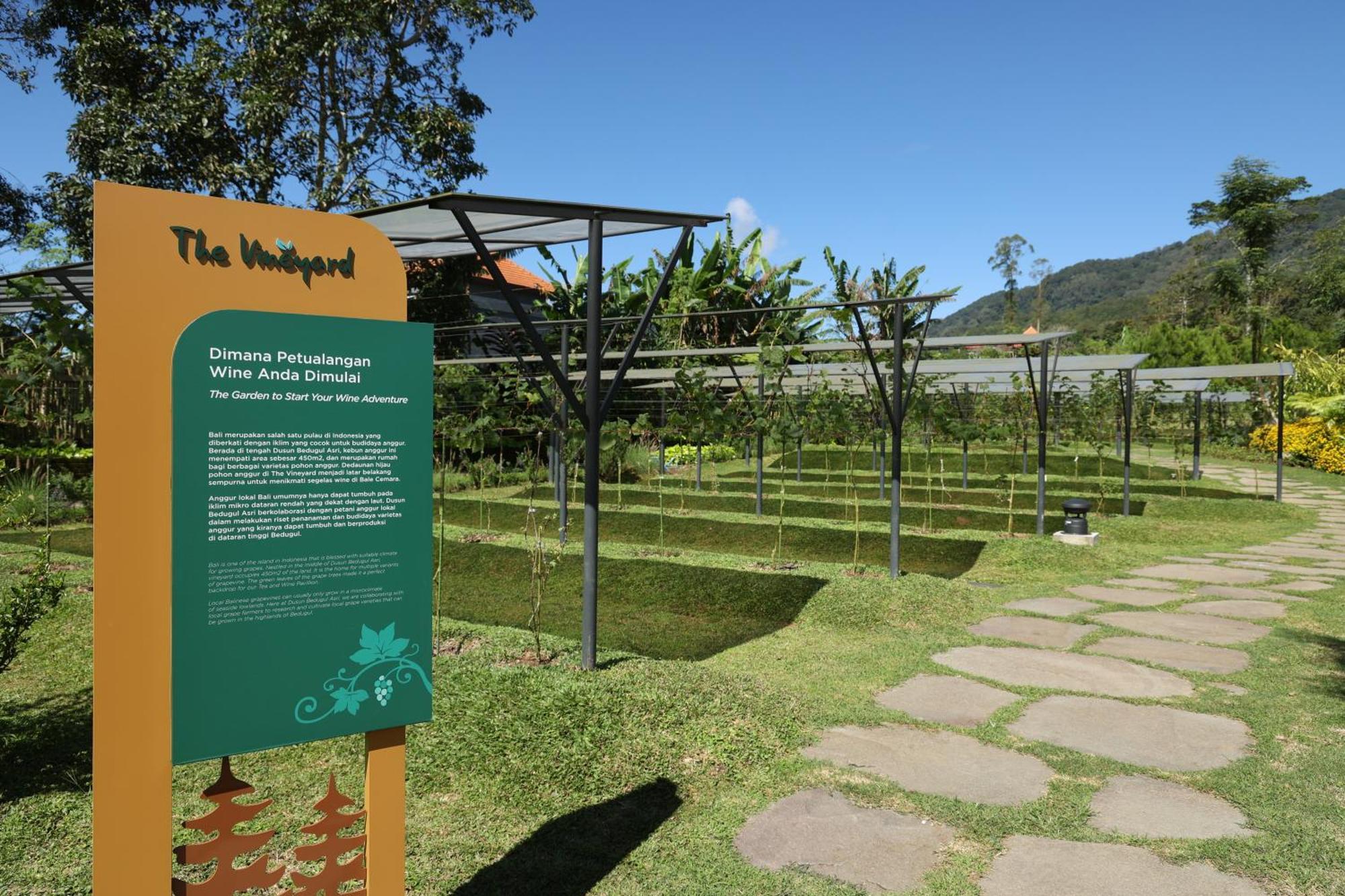 Dusun Bedugul Asri Resort Bedugul (Bali)